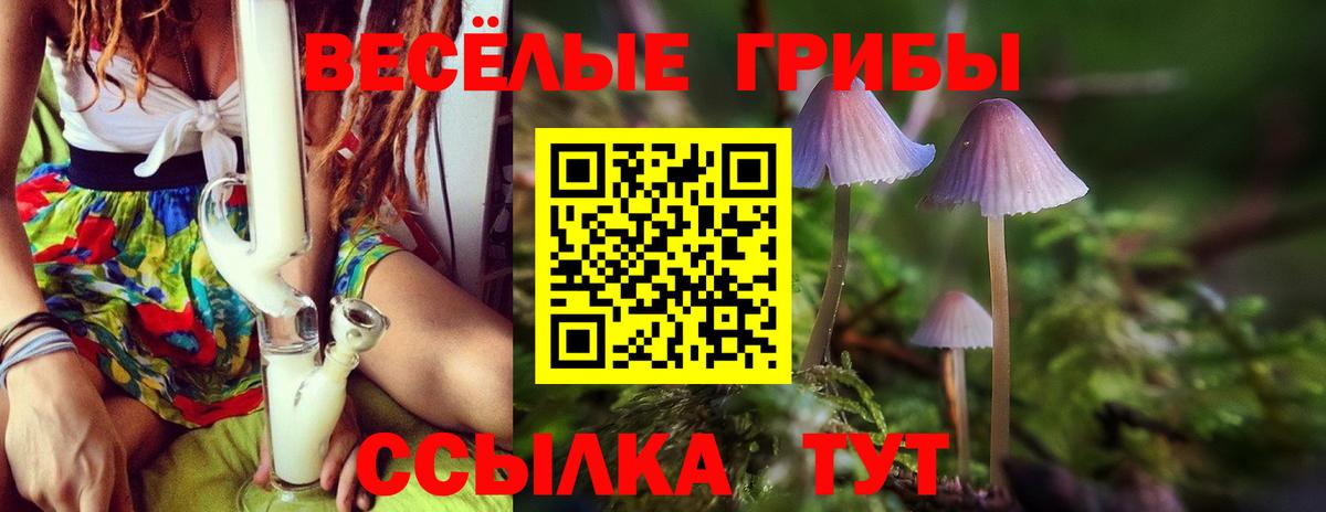 Галлюциногенные грибы Psilocybine cubensis Бахчисарай
